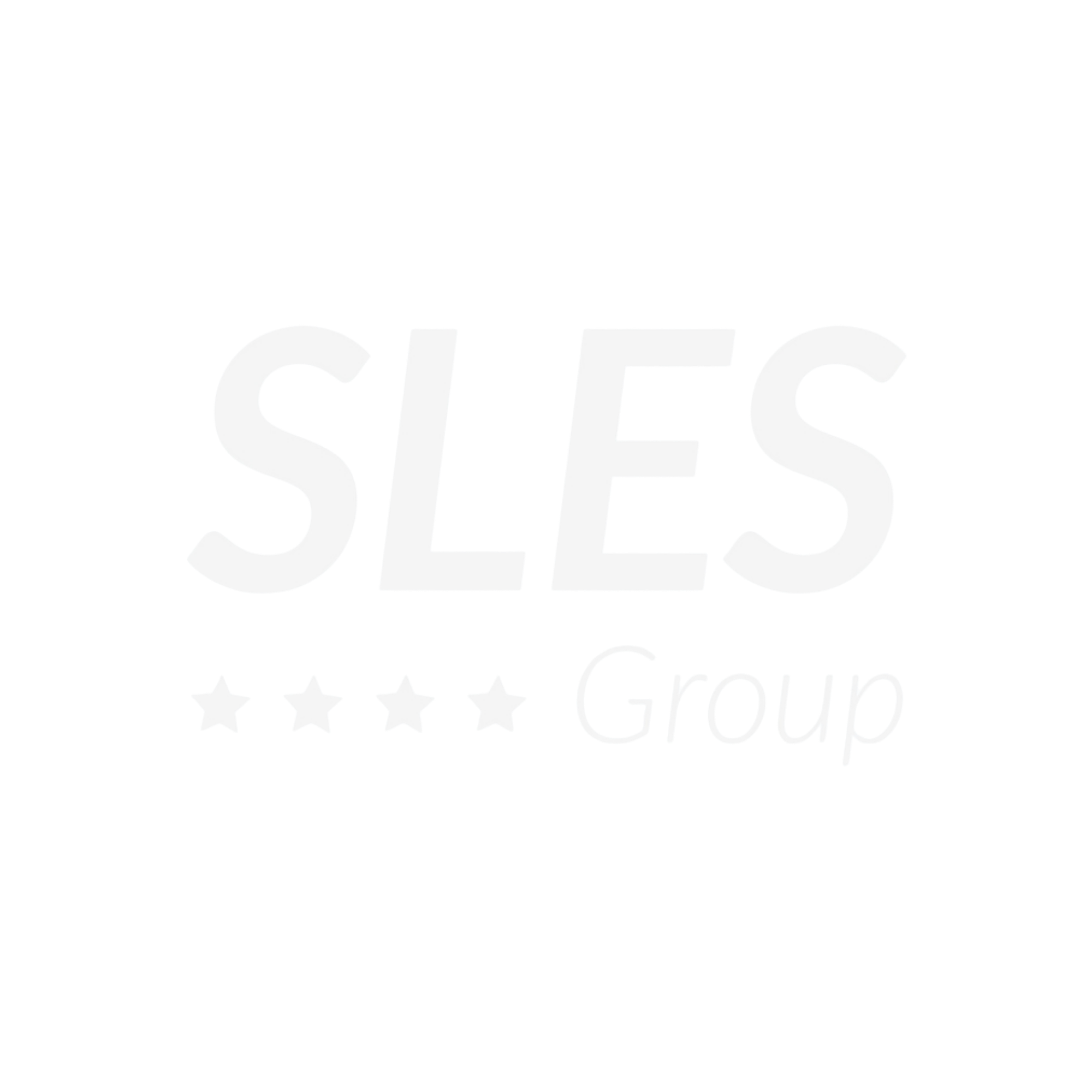 SLES Group Logo